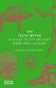 Go to record The Celtic myths : a guide to the ancient gods and legends