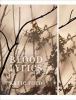 Go to record Blood lyrics : poems