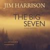 Go to record The big seven : a faux mystery