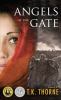 Go to record Angels at the gate