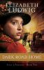 Go to record Dark road home : a novel