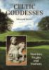 Go to record Celtic goddesses : warriors, virgins, and mothers