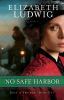 Go to record No safe harbor : a novel