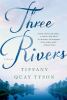 Go to record Three rivers : [a novel]