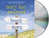 Go to record Beach town : a novel