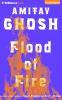 Go to record Flood of fire
