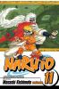 Go to record Naruto. Vol. 11, Impassioned efforts