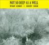 Go to record Not so deep as a well