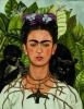 Go to record Frida Kahlo's garden