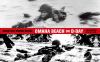 Go to record Omaha Beach on D-Day