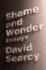 Go to record Shame and wonder : essays
