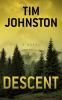Go to record Descent : [a novel]