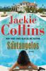 Go to record The Santangelos : [a novel] /