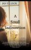 Go to record A small indiscretion : [a novel]
