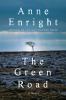 Go to record The green road : [a novel]