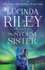 Go to record The storm sister : Ally's story