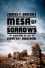 Go to record Mesa of sorrows : a history of the Awat'ovi massacre