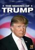 Go to record The making of Trump