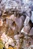 Go to record Fables. Book six : the deluxe edition