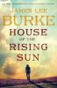 Go to record House of the rising sun /