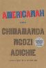 Go to record Americanah : [a novel] /