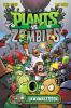 Go to record Plants vs. zombies. Lawnmageddon