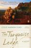 Go to record The turquoise ledge : a memoir