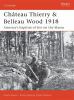 Go to record Château Thierry & Belleau Wood 1918 : America's baptism of...
