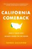 Go to record California comeback : how a "failed state" became a model ...