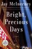 Go to record Bright, precious days : [a novel]