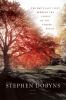 Go to record The day's last light reddens the leaves of the copper beec...