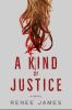 Go to record A kind of justice : a novel