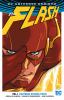Go to record The Flash. Volume 1, Lightning strikes twice