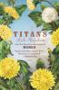 Go to record Titans : [a novel]