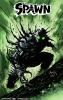 Go to record Spawn : Endgame. Vol. 2