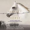 Go to record The perfect horse : the daring U.S. mission to rescue the ...