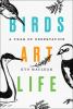Go to record Birds art life : a year of observation