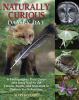 Go to record Naturally curious day by day : a photographic field guide ...