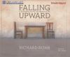 Go to record Falling upward : [a spirituality for the two halves of life]