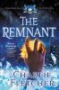 Go to record The remnant