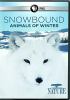 Go to record Snowbound, animals of winter