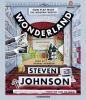 Go to record Wonderland : how play made the modern world
