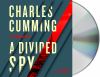 Go to record A divided spy : a novel