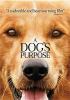 Go to record A dog's purpose