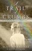 Go to record A trail of crumbs : a novel of the Great Depression