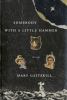 Go to record Somebody with a little hammer : essays