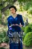 Go to record Shine like the dawn : a novel
