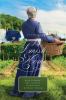 Go to record An Amish home : four novellas