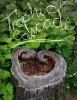 Go to record Trophic cascade