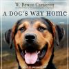 Go to record A dog's way home